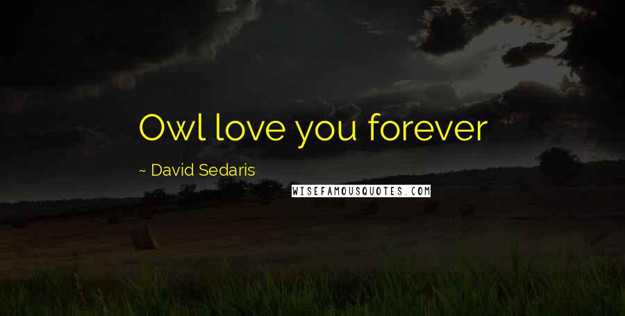 David Sedaris Quotes: Owl love you forever