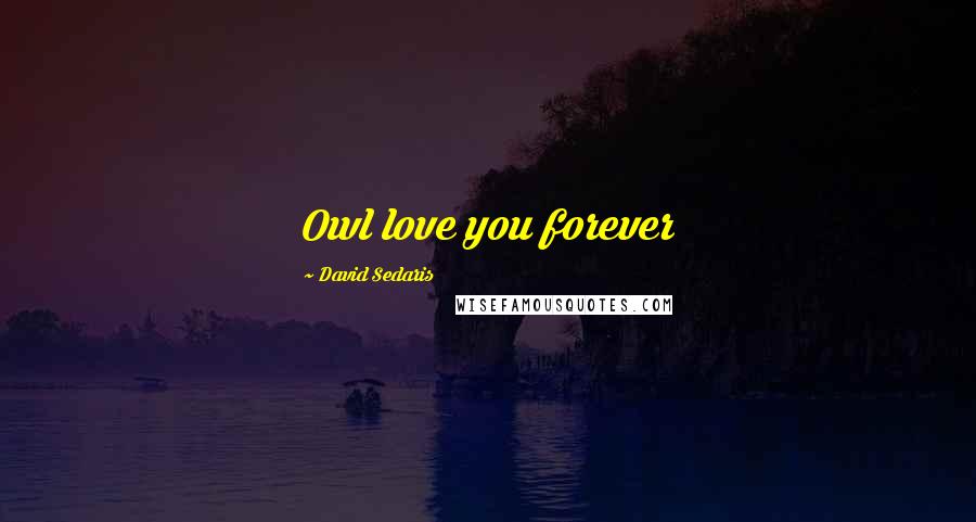 David Sedaris Quotes: Owl love you forever