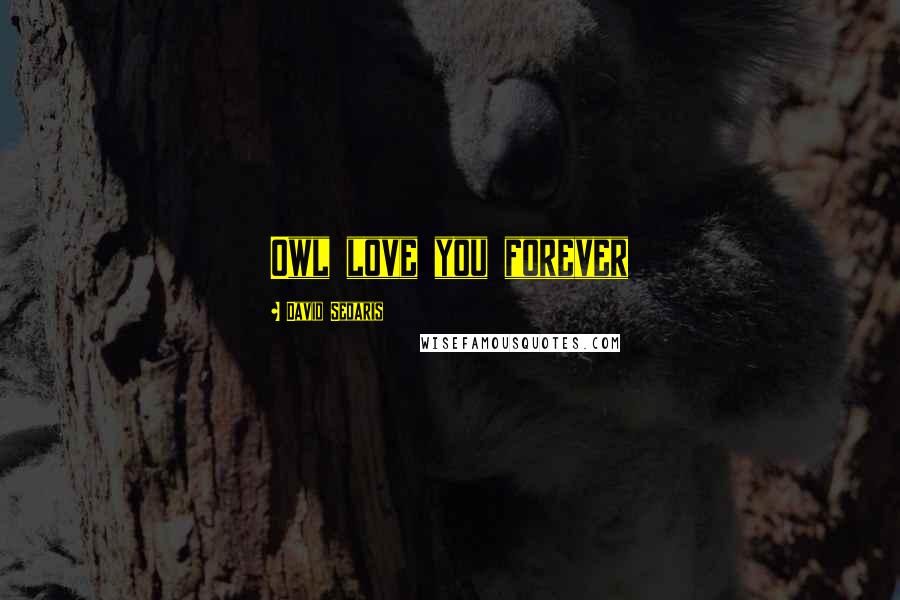 David Sedaris Quotes: Owl love you forever