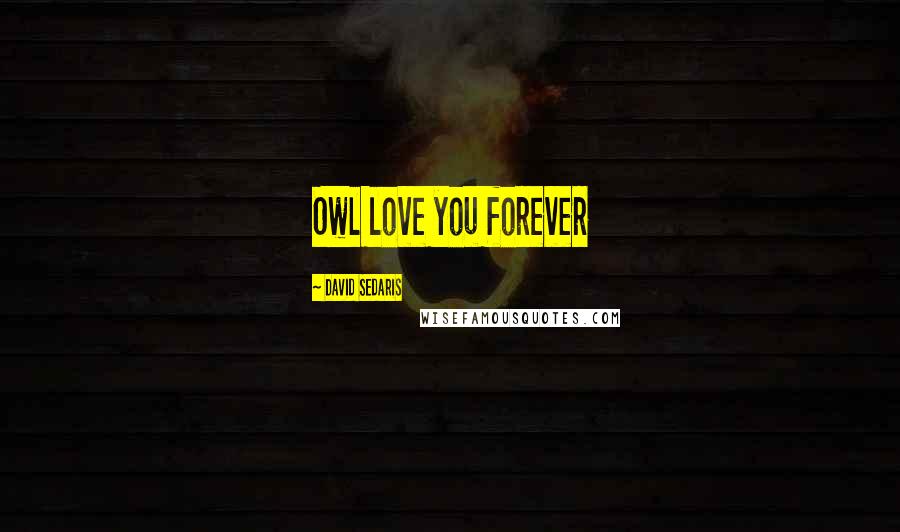 David Sedaris Quotes: Owl love you forever