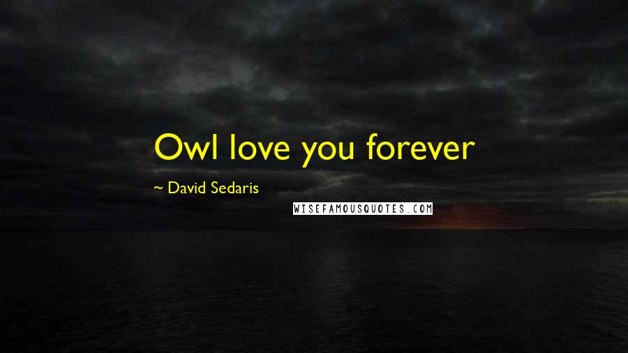 David Sedaris Quotes: Owl love you forever