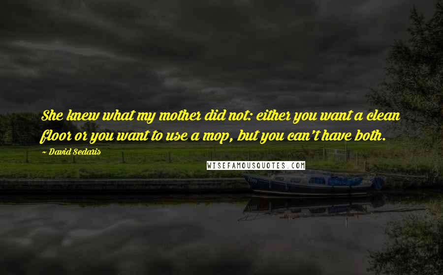 David Sedaris Quotes: She knew what my mother did not: either you want a clean floor or you want to use a mop, but you can't have both.