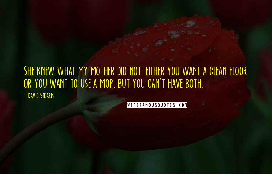 David Sedaris Quotes: She knew what my mother did not: either you want a clean floor or you want to use a mop, but you can't have both.