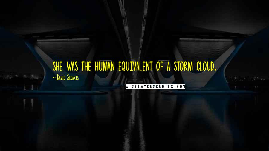 David Sedaris Quotes: she was the human equivalent of a storm cloud.