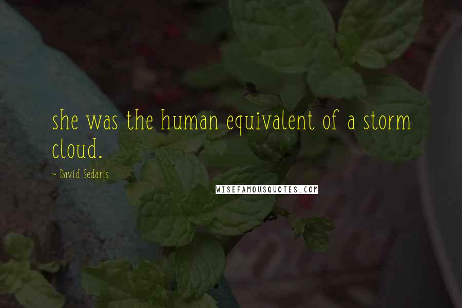 David Sedaris Quotes: she was the human equivalent of a storm cloud.