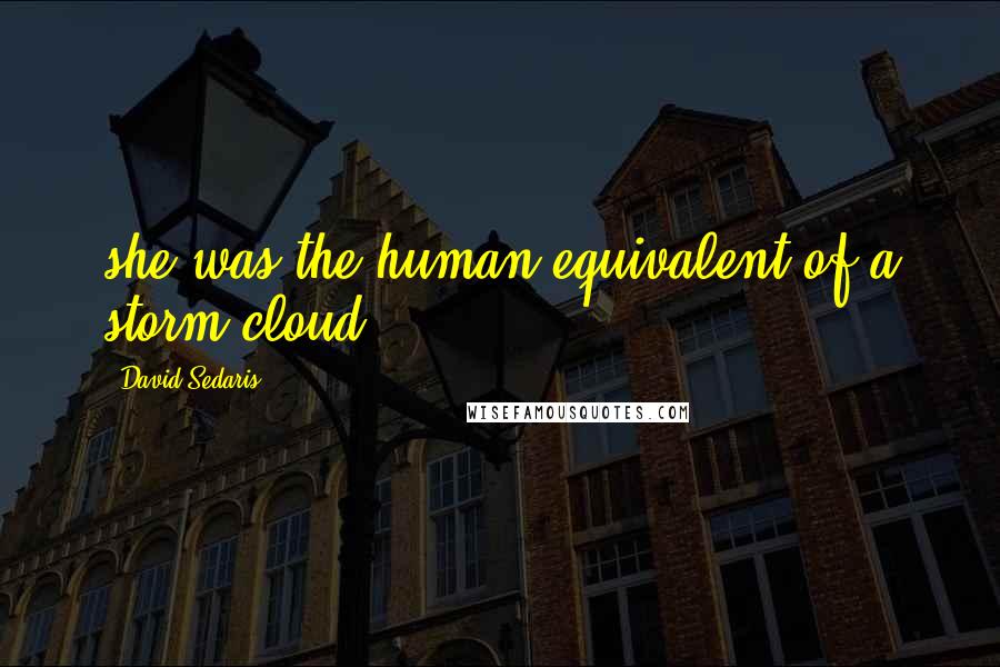 David Sedaris Quotes: she was the human equivalent of a storm cloud.