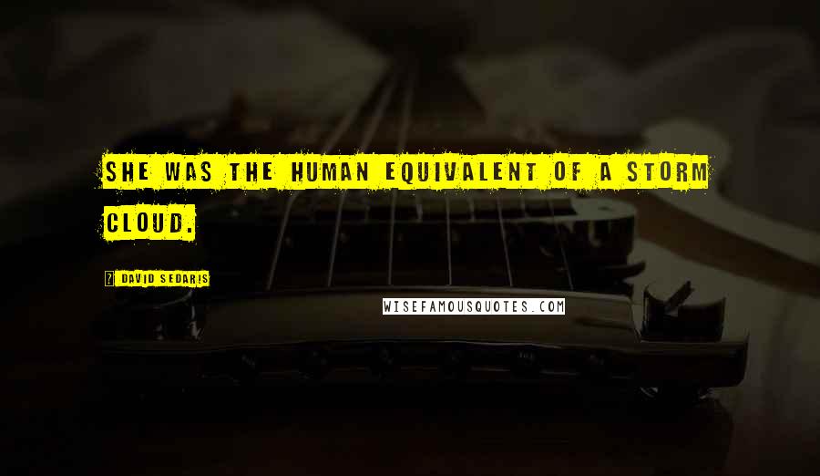 David Sedaris Quotes: she was the human equivalent of a storm cloud.