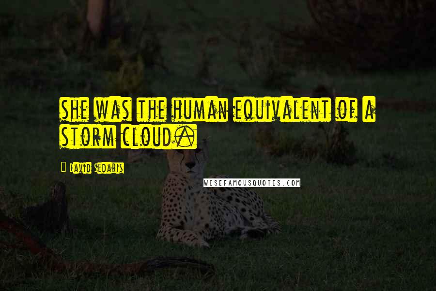 David Sedaris Quotes: she was the human equivalent of a storm cloud.