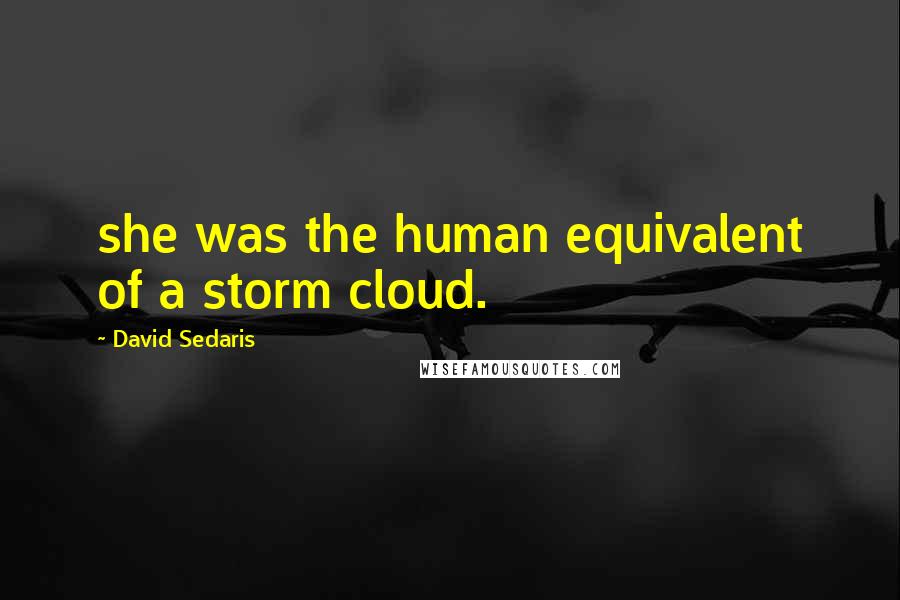 David Sedaris Quotes: she was the human equivalent of a storm cloud.