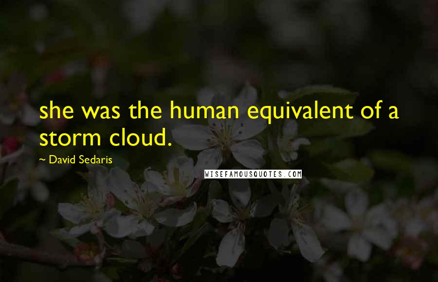 David Sedaris Quotes: she was the human equivalent of a storm cloud.