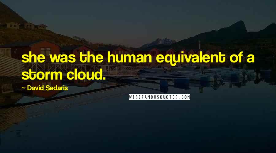 David Sedaris Quotes: she was the human equivalent of a storm cloud.