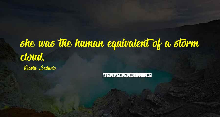 David Sedaris Quotes: she was the human equivalent of a storm cloud.