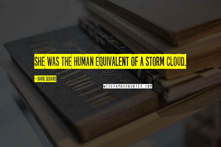 David Sedaris Quotes: she was the human equivalent of a storm cloud.