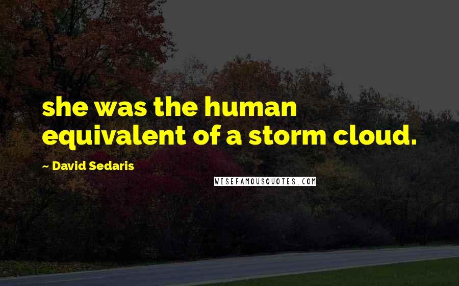 David Sedaris Quotes: she was the human equivalent of a storm cloud.