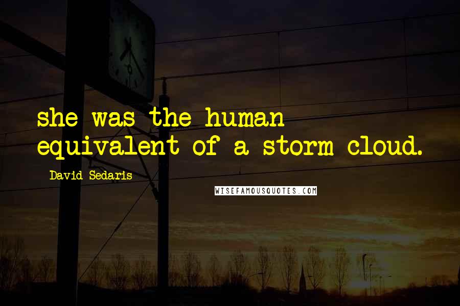 David Sedaris Quotes: she was the human equivalent of a storm cloud.