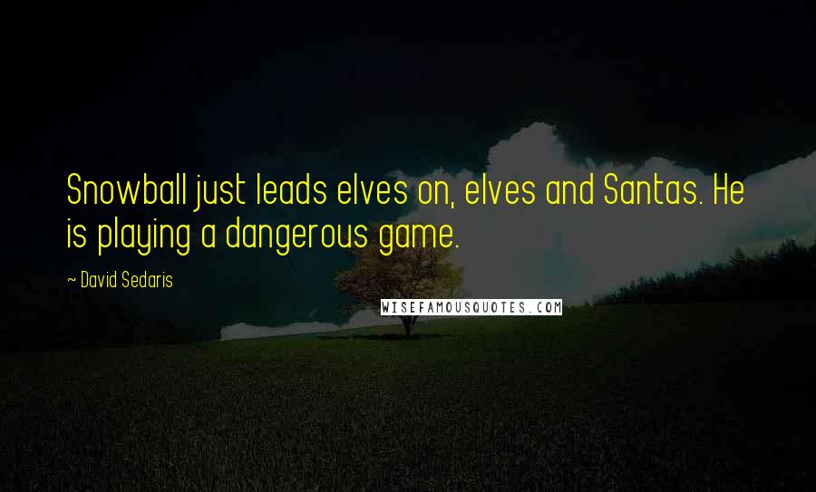 David Sedaris Quotes: Snowball just leads elves on, elves and Santas. He is playing a dangerous game.