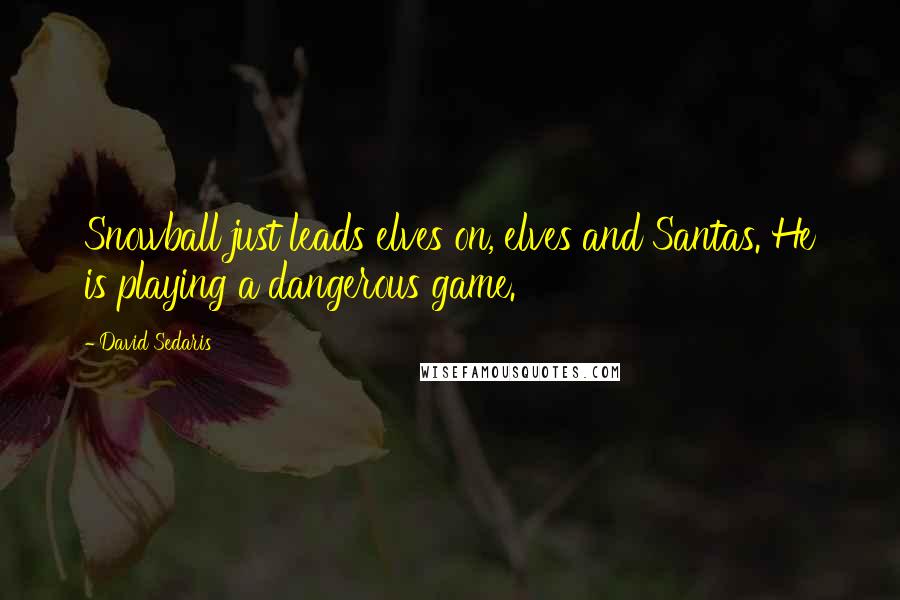 David Sedaris Quotes: Snowball just leads elves on, elves and Santas. He is playing a dangerous game.