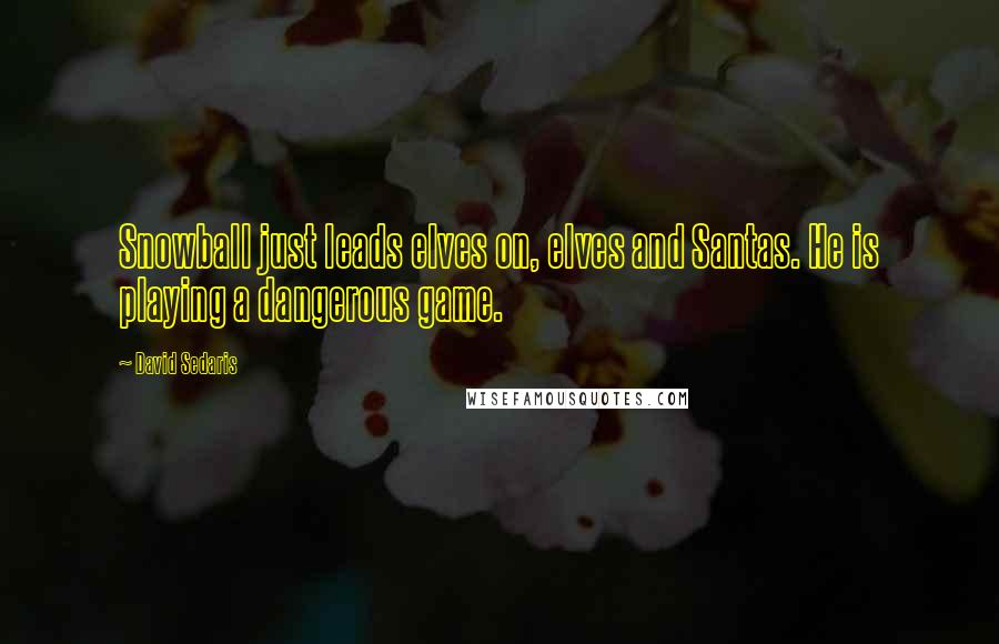 David Sedaris Quotes: Snowball just leads elves on, elves and Santas. He is playing a dangerous game.