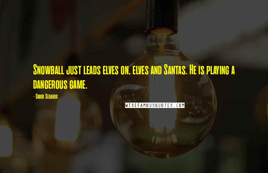 David Sedaris Quotes: Snowball just leads elves on, elves and Santas. He is playing a dangerous game.