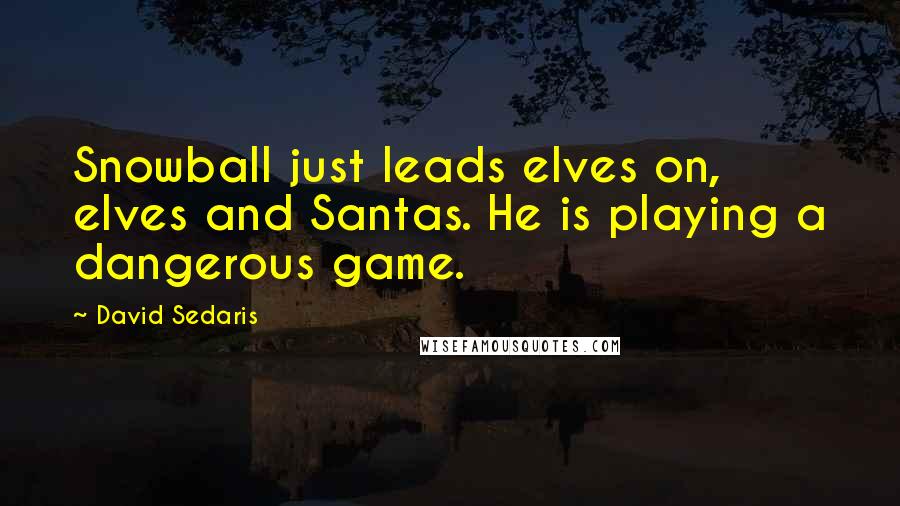 David Sedaris Quotes: Snowball just leads elves on, elves and Santas. He is playing a dangerous game.