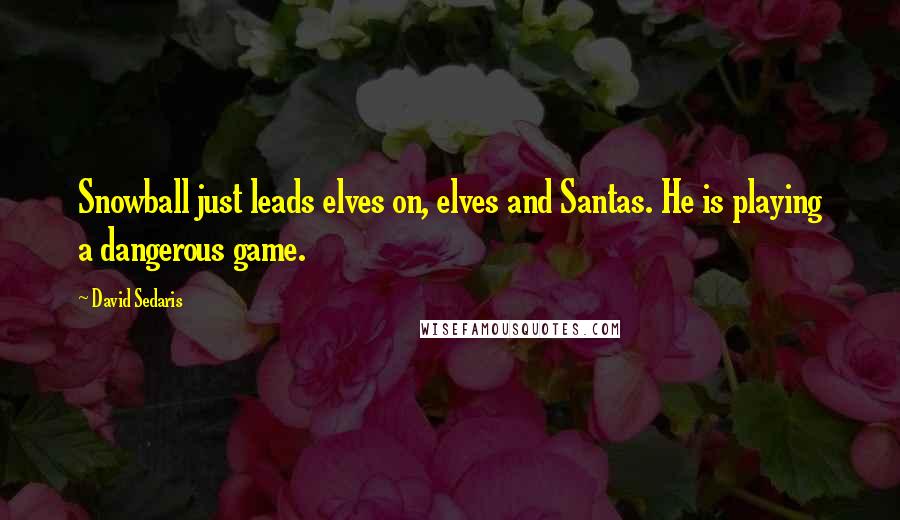 David Sedaris Quotes: Snowball just leads elves on, elves and Santas. He is playing a dangerous game.