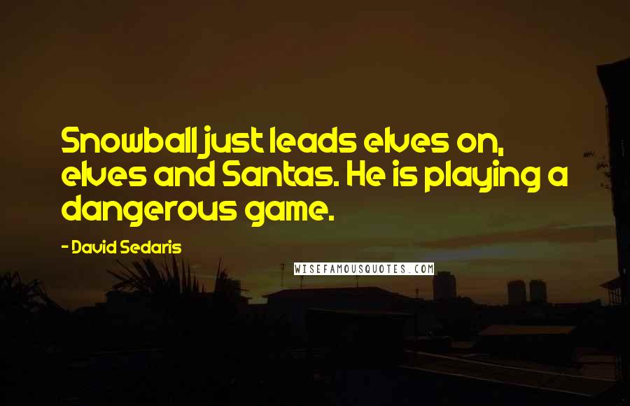 David Sedaris Quotes: Snowball just leads elves on, elves and Santas. He is playing a dangerous game.