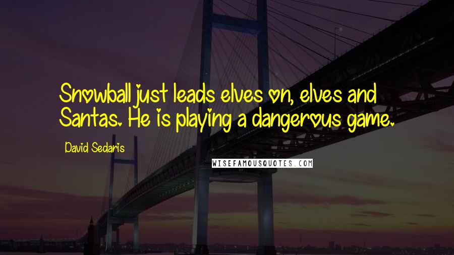 David Sedaris Quotes: Snowball just leads elves on, elves and Santas. He is playing a dangerous game.