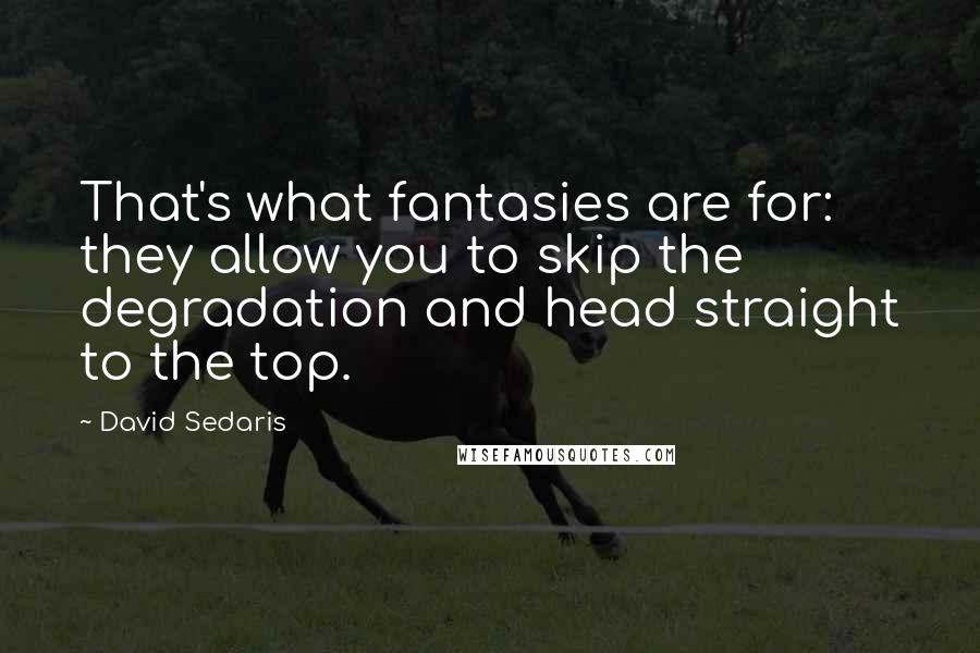 David Sedaris Quotes: That's what fantasies are for: they allow you to skip the degradation and head straight to the top.