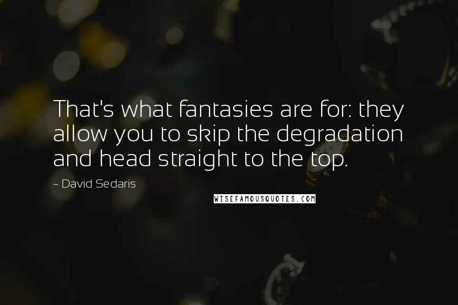 David Sedaris Quotes: That's what fantasies are for: they allow you to skip the degradation and head straight to the top.