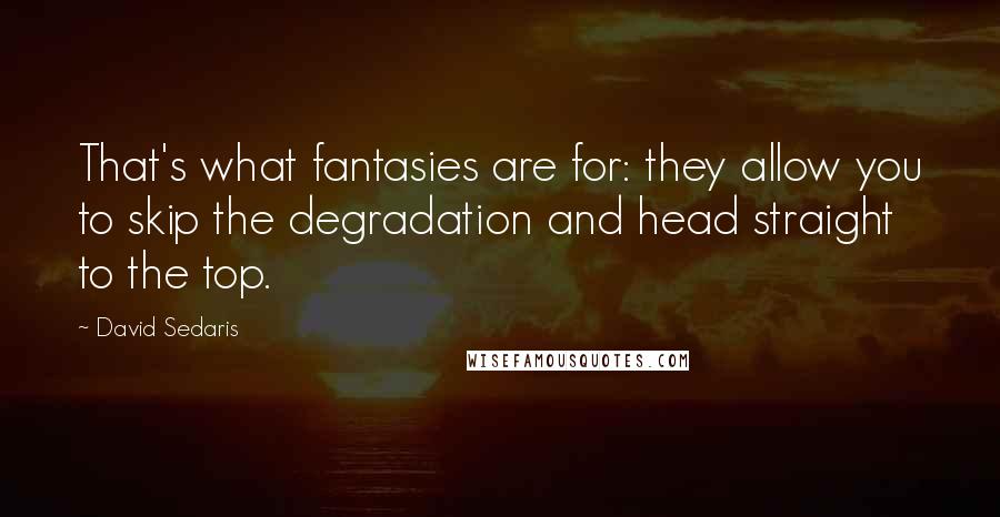 David Sedaris Quotes: That's what fantasies are for: they allow you to skip the degradation and head straight to the top.