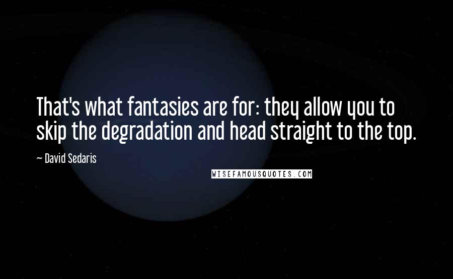 David Sedaris Quotes: That's what fantasies are for: they allow you to skip the degradation and head straight to the top.