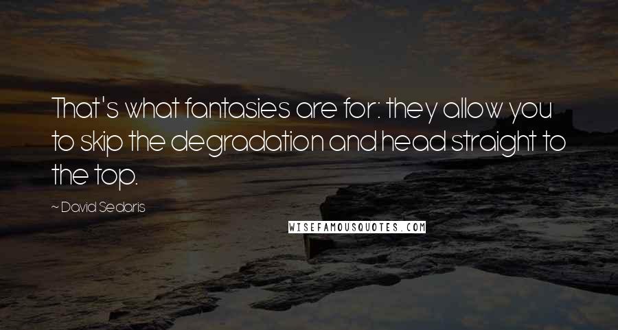 David Sedaris Quotes: That's what fantasies are for: they allow you to skip the degradation and head straight to the top.
