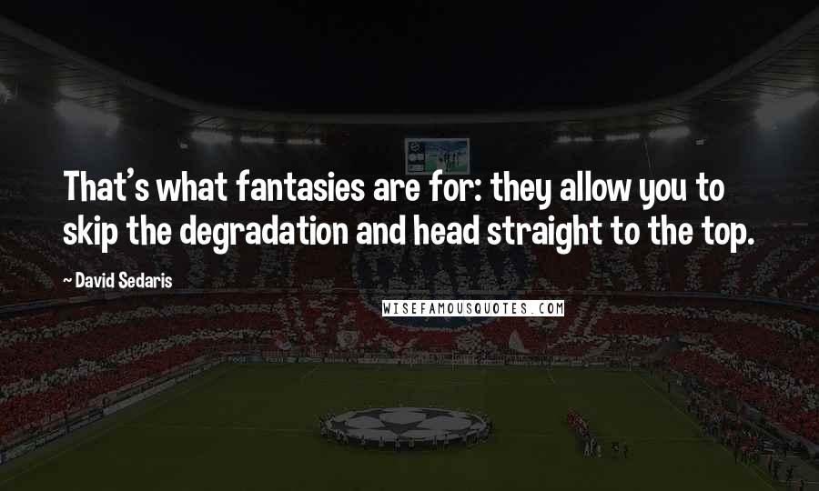 David Sedaris Quotes: That's what fantasies are for: they allow you to skip the degradation and head straight to the top.