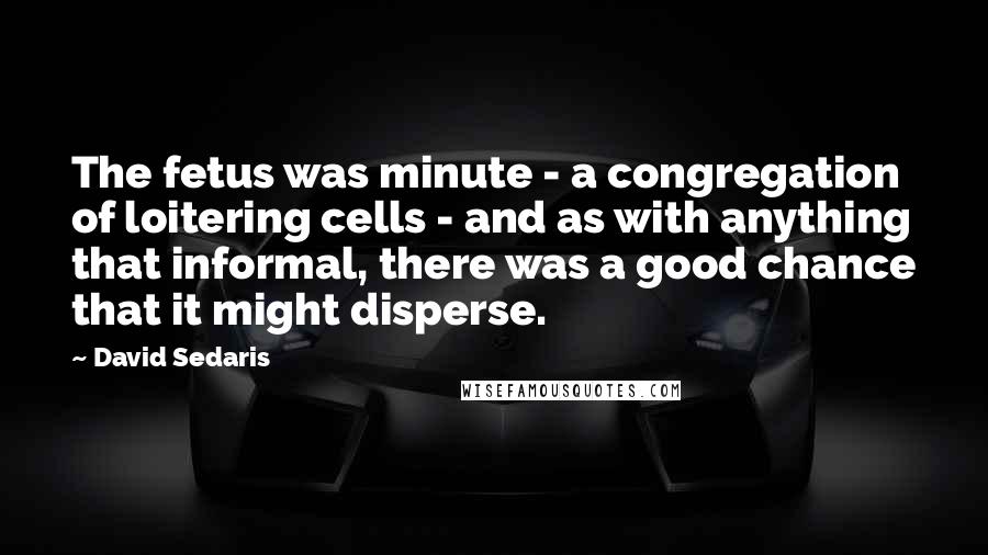 David Sedaris Quotes: The fetus was minute - a congregation of loitering cells - and as with anything that informal, there was a good chance that it might disperse.