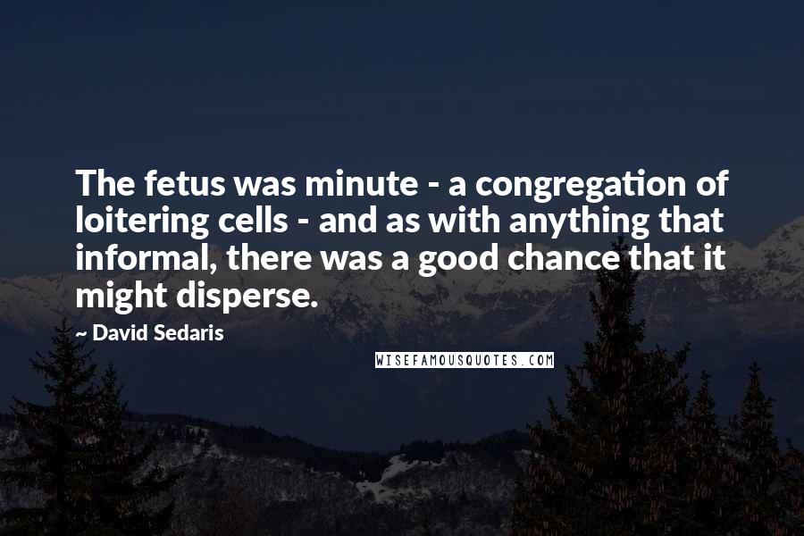 David Sedaris Quotes: The fetus was minute - a congregation of loitering cells - and as with anything that informal, there was a good chance that it might disperse.