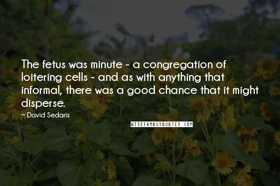 David Sedaris Quotes: The fetus was minute - a congregation of loitering cells - and as with anything that informal, there was a good chance that it might disperse.