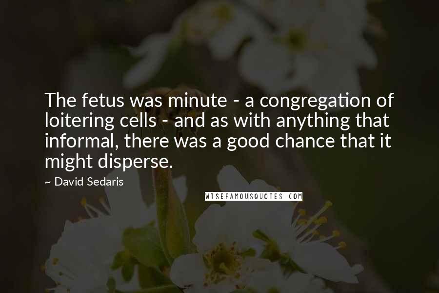 David Sedaris Quotes: The fetus was minute - a congregation of loitering cells - and as with anything that informal, there was a good chance that it might disperse.