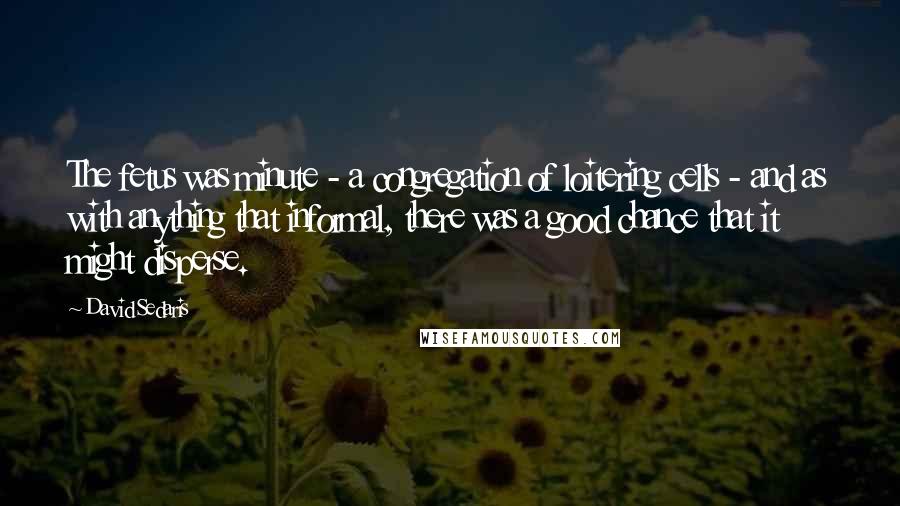 David Sedaris Quotes: The fetus was minute - a congregation of loitering cells - and as with anything that informal, there was a good chance that it might disperse.