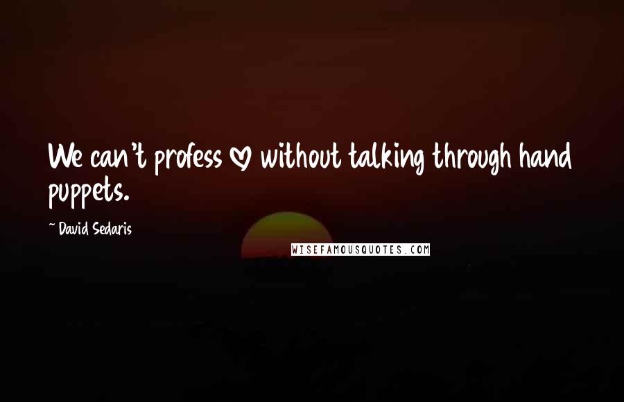 David Sedaris Quotes: We can't profess love without talking through hand puppets.