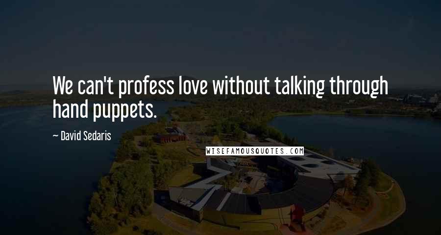 David Sedaris Quotes: We can't profess love without talking through hand puppets.