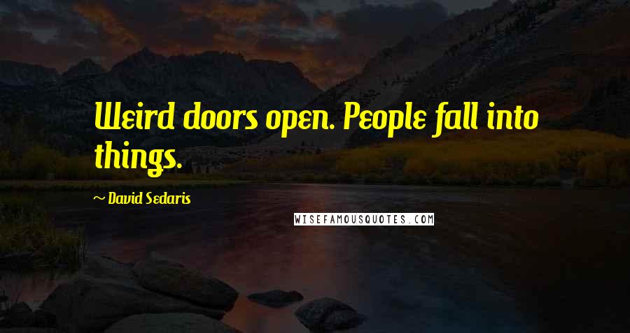 David Sedaris Quotes: Weird doors open. People fall into things.