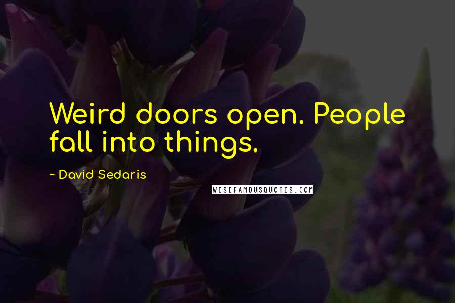 David Sedaris Quotes: Weird doors open. People fall into things.