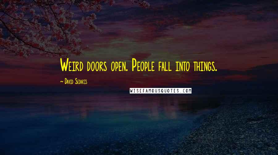 David Sedaris Quotes: Weird doors open. People fall into things.