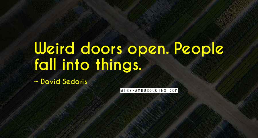 David Sedaris Quotes: Weird doors open. People fall into things.