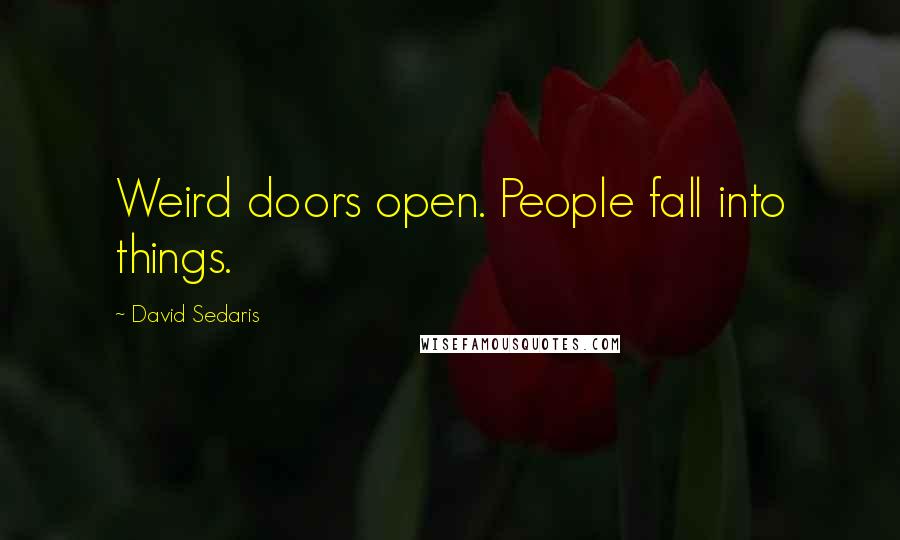 David Sedaris Quotes: Weird doors open. People fall into things.