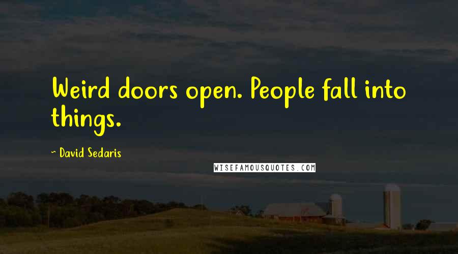 David Sedaris Quotes: Weird doors open. People fall into things.