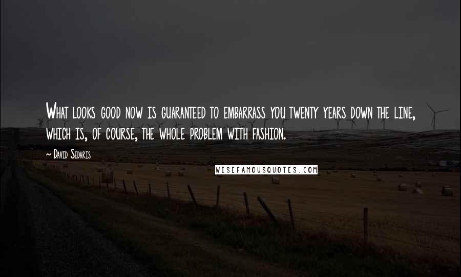 David Sedaris Quotes: What looks good now is guaranteed to embarrass you twenty years down the line, which is, of course, the whole problem with fashion.