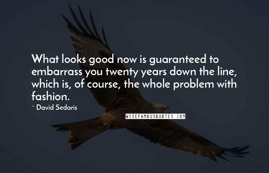 David Sedaris Quotes: What looks good now is guaranteed to embarrass you twenty years down the line, which is, of course, the whole problem with fashion.