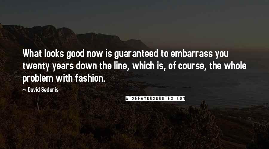 David Sedaris Quotes: What looks good now is guaranteed to embarrass you twenty years down the line, which is, of course, the whole problem with fashion.