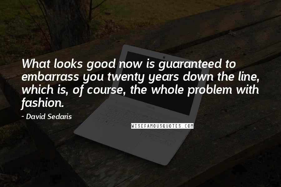 David Sedaris Quotes: What looks good now is guaranteed to embarrass you twenty years down the line, which is, of course, the whole problem with fashion.